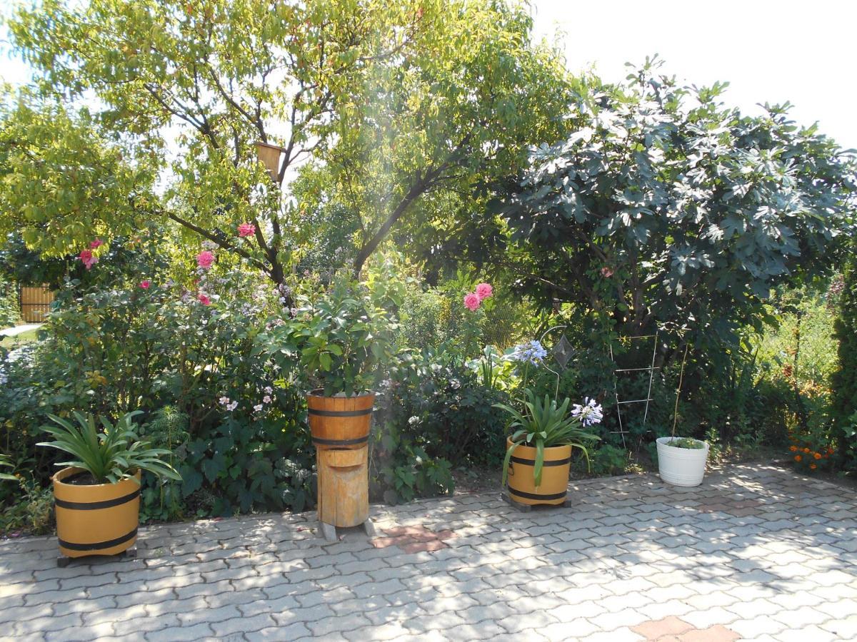 Arpad Panzio Bed & Breakfast Gyor Exterior photo